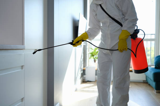 Best Best Mold Removal Companies  in Saline, MI