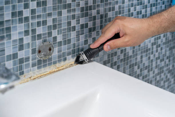 Reliable Saline, MI Mold Removal Solutions