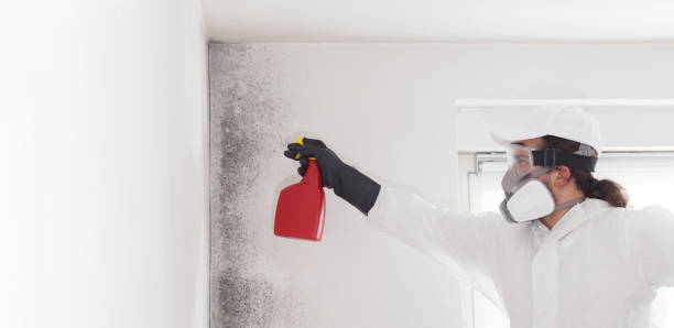 Best Mold Testing  in Saline, MI