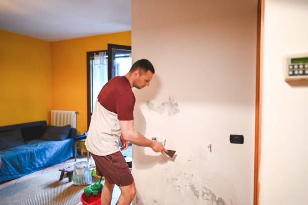 Best Emergency Mold Removal  in Saline, MI